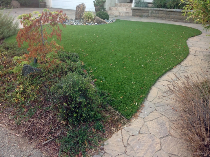 Artificial Grass Carpet Waldo, Florida Dog Hospital, Backyard Design