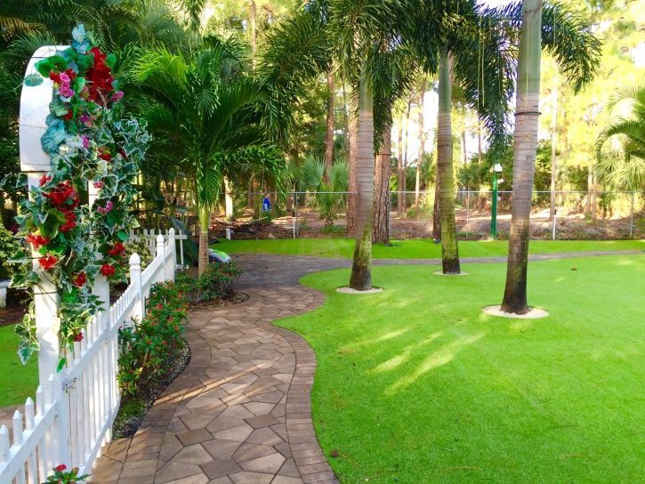 Artificial Grass Groveland, Florida Landscape Rock, Front Yard Landscape Ideas