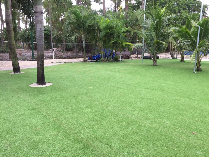Artificial Grass Installation Oak Ridge, Florida Backyard Deck Ideas, Commercial Landscape