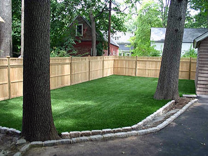Artificial Grass La Crosse, Florida Home And Garden, Backyard