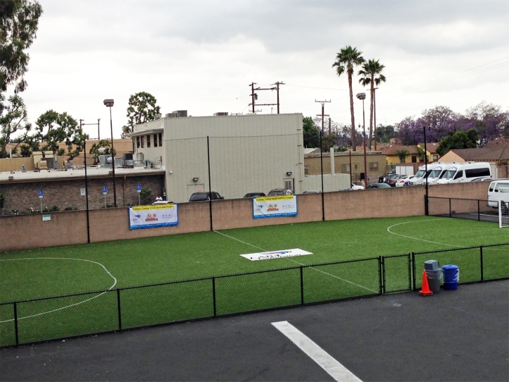 Artificial Grass Newberry, Florida Softball, Commercial Landscape