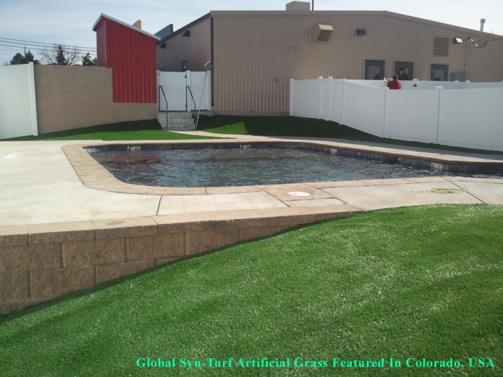 Artificial Grass Penney Farms, Florida Rooftop, Pool Designs