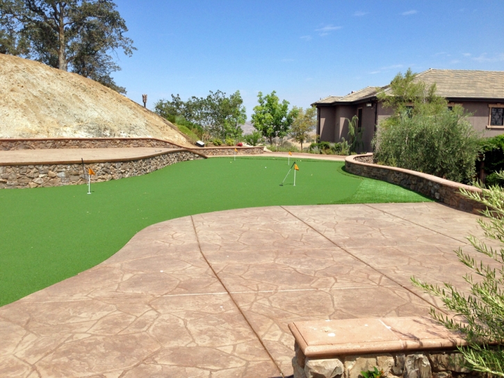 Artificial Grass Steinhatchee, Florida Putting Green Grass, Backyard Ideas