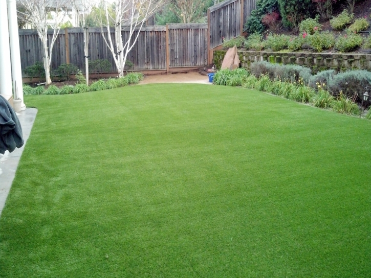 Artificial Grass Wacissa, Florida Garden Ideas, Backyard Designs