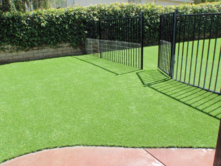 Artificial Lawn Fruitland Park, Florida Artificial Turf For Dogs, Front Yard Landscaping