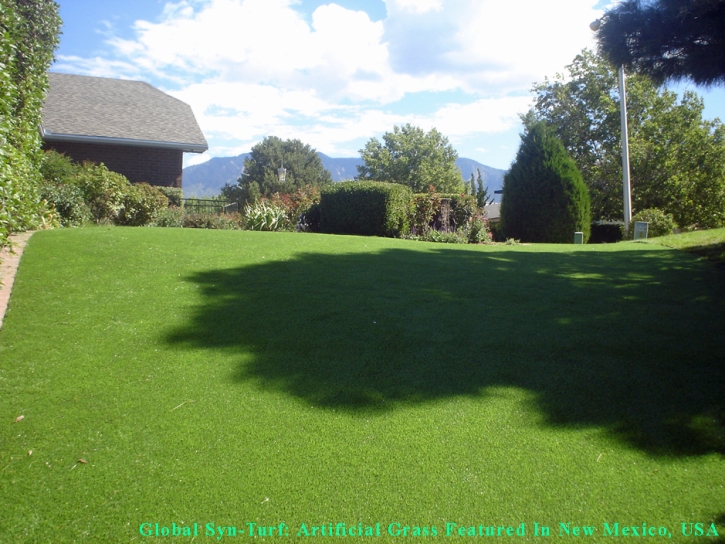 Artificial Lawn Lakeside, Florida Landscape Design, Backyard