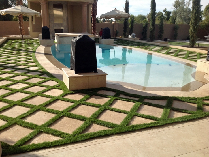 Artificial Lawn Morriston, Florida Landscaping, Backyard Garden Ideas