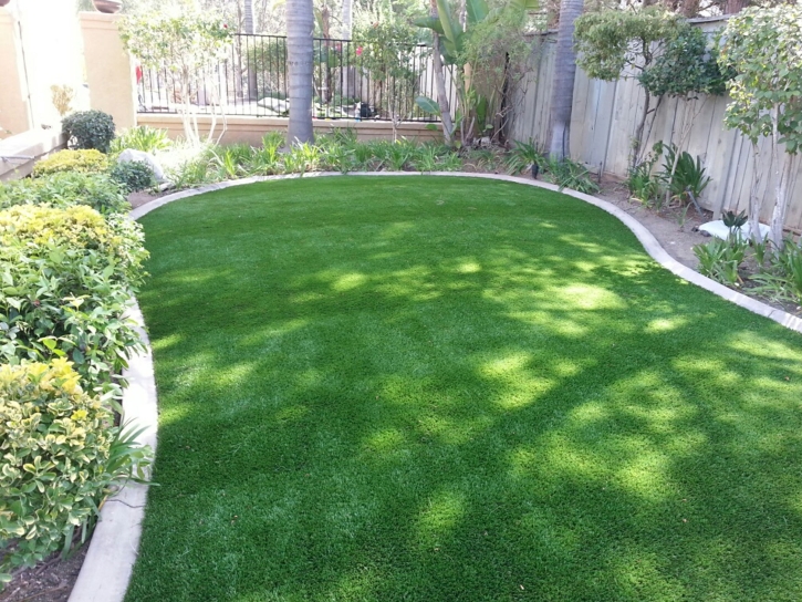 Artificial Lawn Orlovista, Florida Landscape Photos