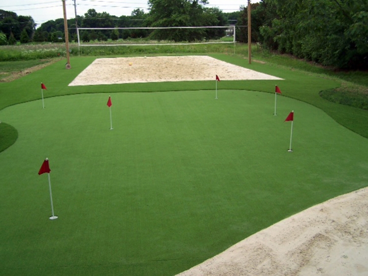 Artificial Lawn Pine Ridge, Florida Landscape Design, Backyard Garden Ideas