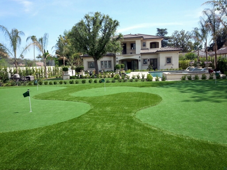 Artificial Lawn Sawgrass, Florida Golf Green, Front Yard Landscaping