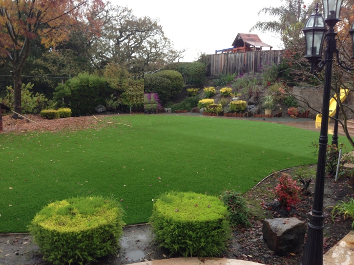 Artificial Lawn Windermere, Florida Design Ideas, Backyard Ideas
