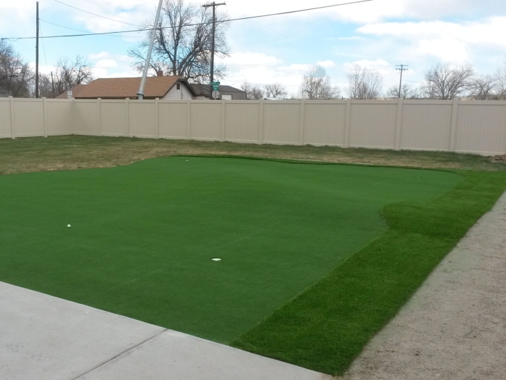 Artificial Turf Clermont, Florida Putting Green Grass, Backyards