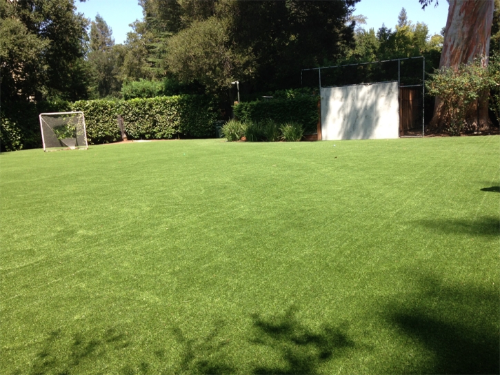 Artificial Turf Cost Fern Park, Florida High School Sports, Backyard Ideas