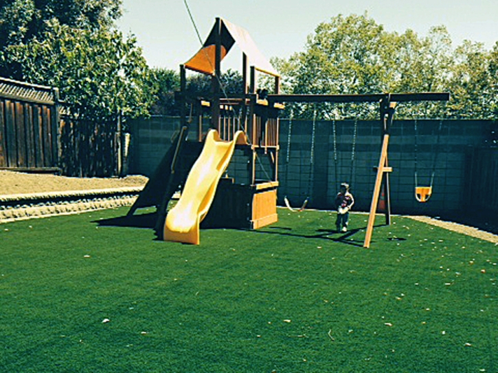 Artificial Turf Cost Fernandina Beach, Florida Playground Flooring, Backyard Landscape Ideas