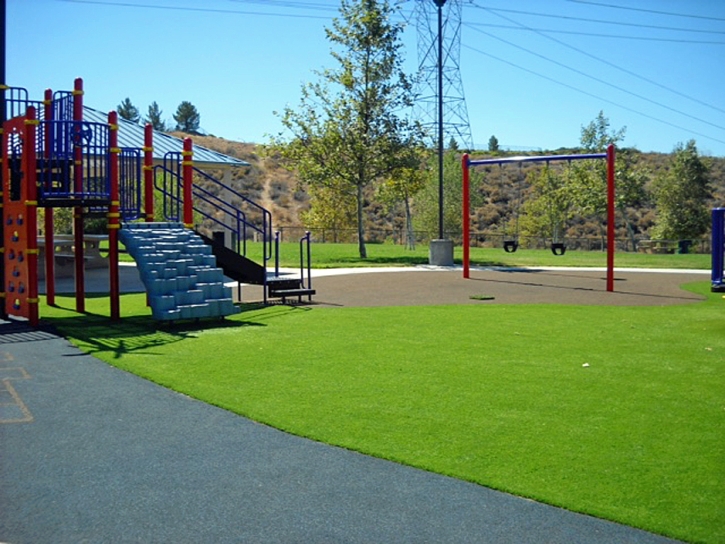 Artificial Turf Cost Orange Park, Florida Landscape Design, Recreational Areas