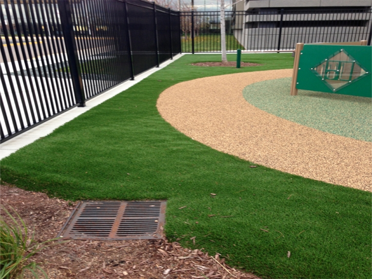 Artificial Turf Cost Taft, Florida Home And Garden, Commercial Landscape