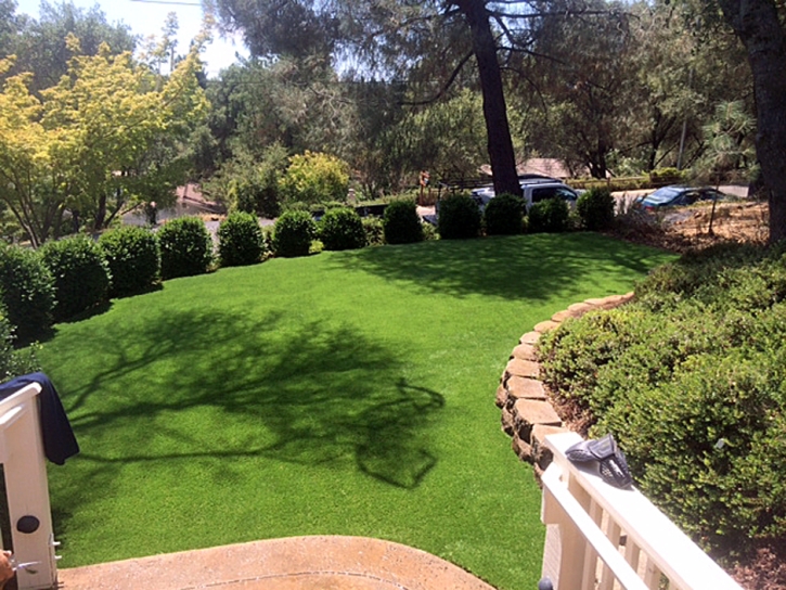 Artificial Turf Cost Wiscon, Florida Roof Top, Backyard Landscaping