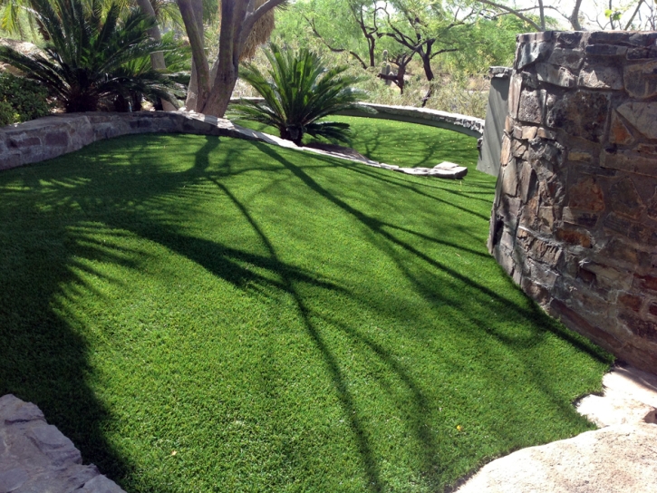 Artificial Turf Greenville, Florida Hotel For Dogs