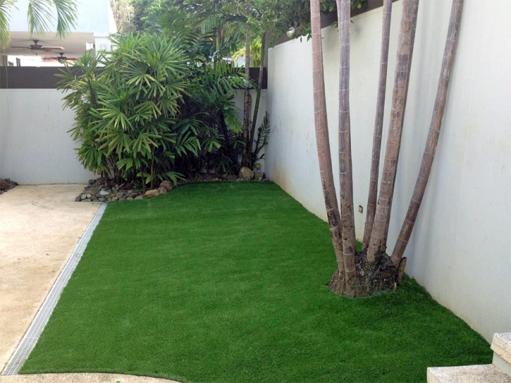 Artificial Turf Installation Silver Lake, Florida Roof Top, Backyard Makeover