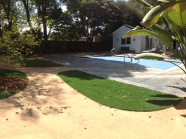 Artificial Turf Wiscon, Florida Landscaping Business, Natural Swimming Pools