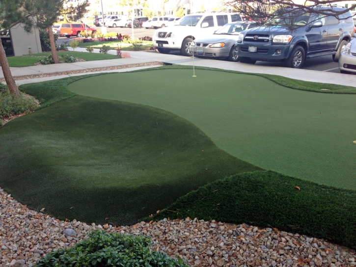 Best Artificial Grass Aucilla, Florida How To Build A Putting Green, Commercial Landscape
