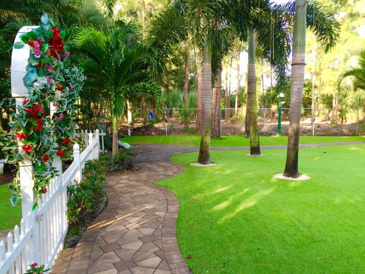 Best Artificial Grass Belle Isle, Florida Gardeners, Parks