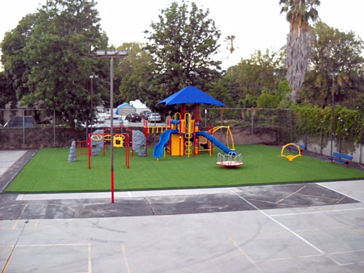 Best Artificial Grass Lake Butler, Florida Backyard Playground, Commercial Landscape