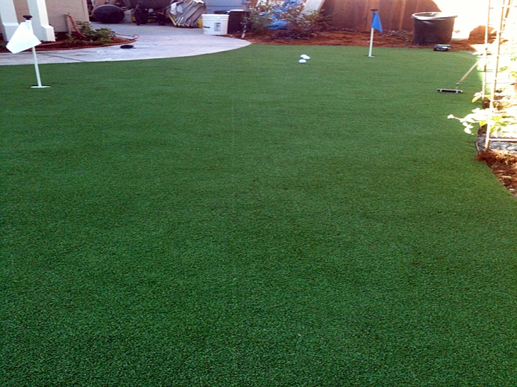 Best Artificial Grass Merritt Island, Florida Landscape Photos, Backyard Design
