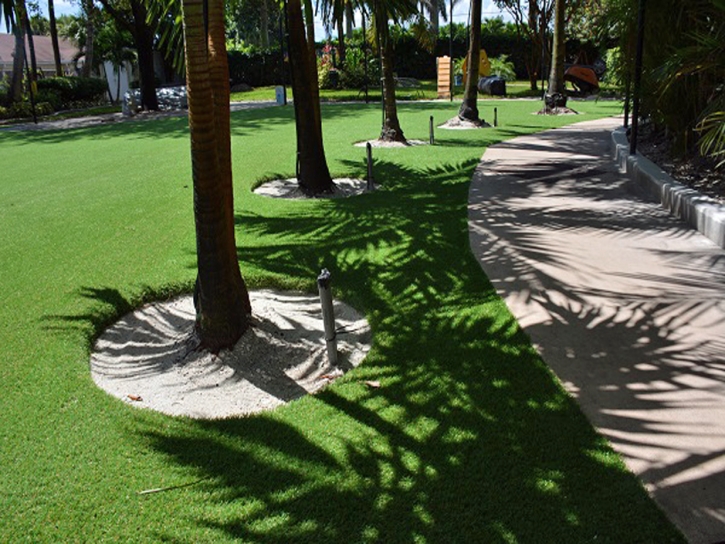 Fake Grass Carpet Hawthorne, Florida Landscaping, Commercial Landscape