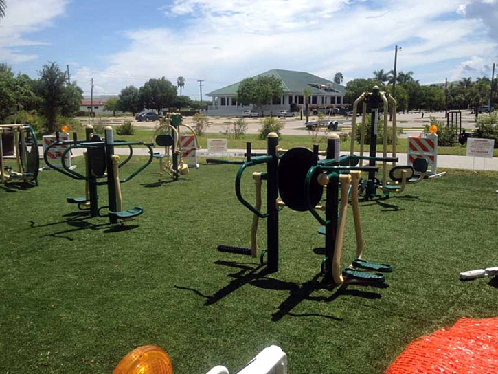 Fake Grass Citrus Springs, Florida Backyard Playground, Recreational Areas