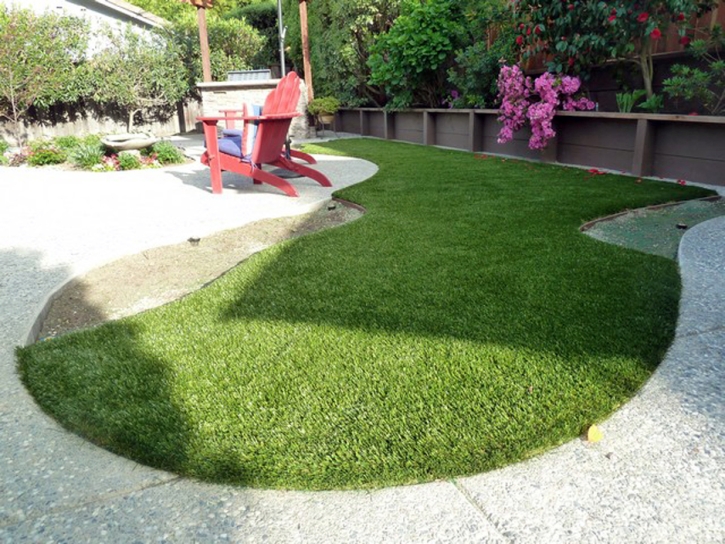 Fake Grass Eatonville, Florida Home And Garden, Backyards