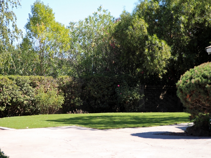 Fake Grass Tangerine, Florida Dog Park, Front Yard Landscaping