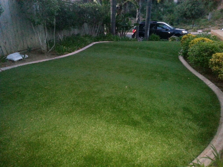 Fake Lawn Brooksville, Florida Landscape Design, Front Yard Landscaping Ideas
