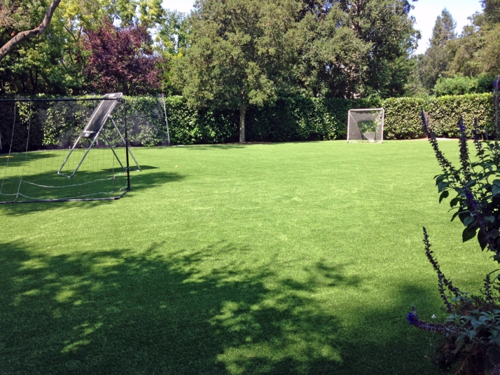 Fake Lawn Eatonville, Florida Backyard Soccer, Backyard