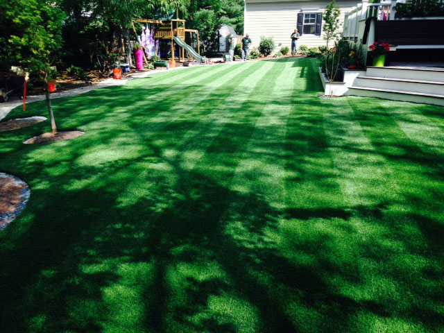 Fake Lawn Wedgefield, Florida Landscape Ideas, Backyard Landscaping