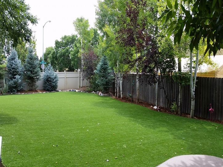 Fake Turf Altoona, Florida Lawn And Landscape, Backyard Landscaping Ideas