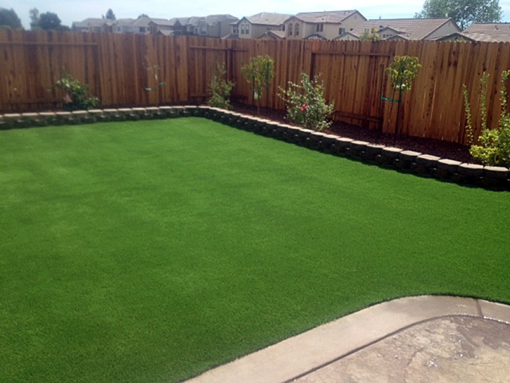 Faux Grass Brookridge, Florida Backyard Deck Ideas, Small Backyard Ideas
