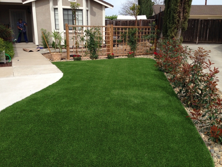 Faux Grass Homosassa, Florida Roof Top, Landscaping Ideas For Front Yard
