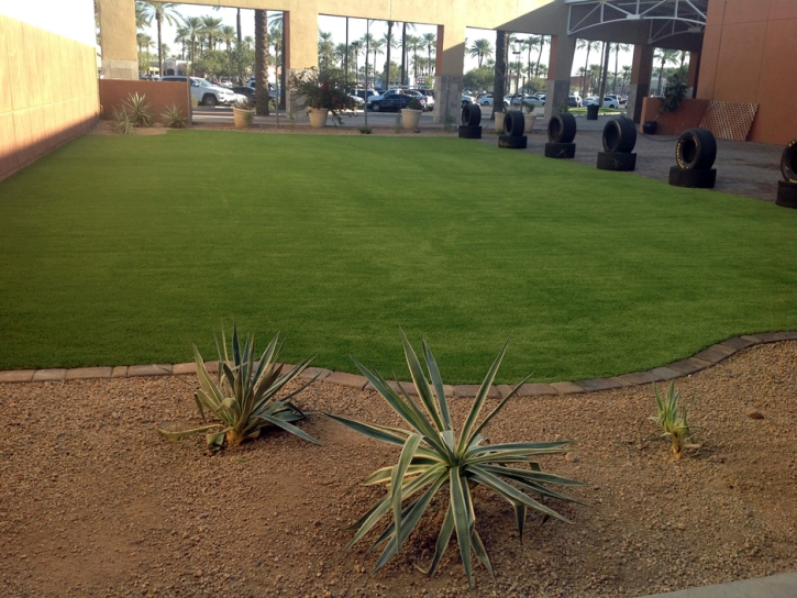 Faux Grass Madison, Florida Backyard Playground, Commercial Landscape