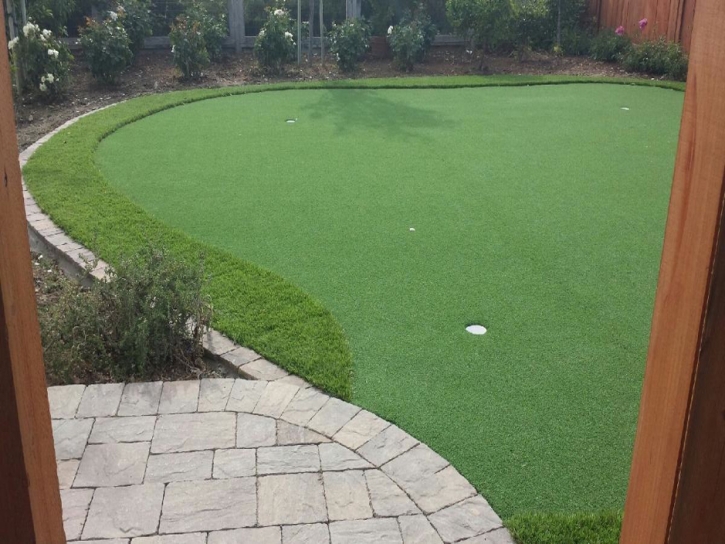 Grass Carpet Doctor Phillips, Florida Outdoor Putting Green, Backyard Design