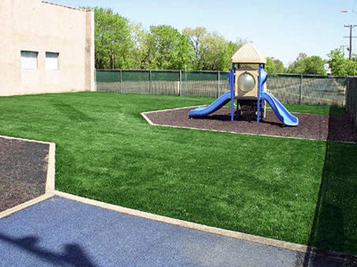 Grass Carpet Port Orange, Florida Playground, Commercial Landscape