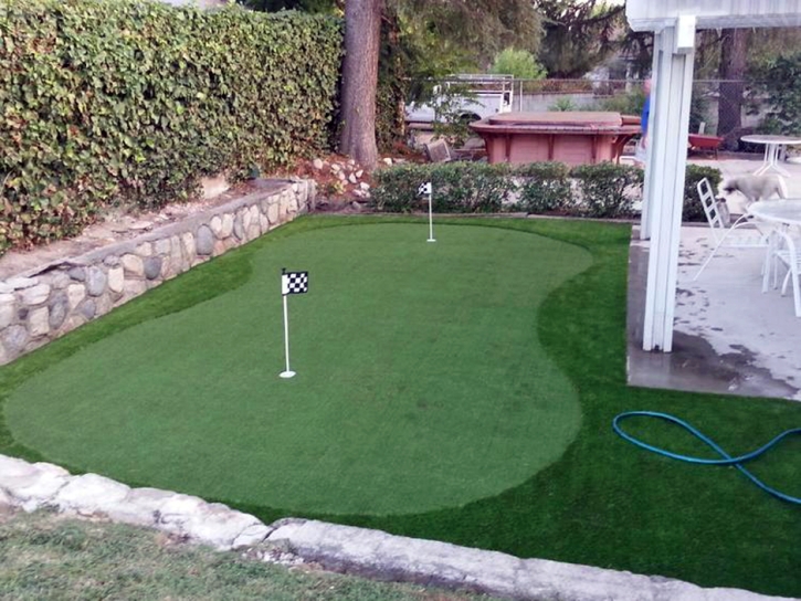 Grass Carpet Wekiwa Springs, Florida Garden Ideas, Backyard Designs