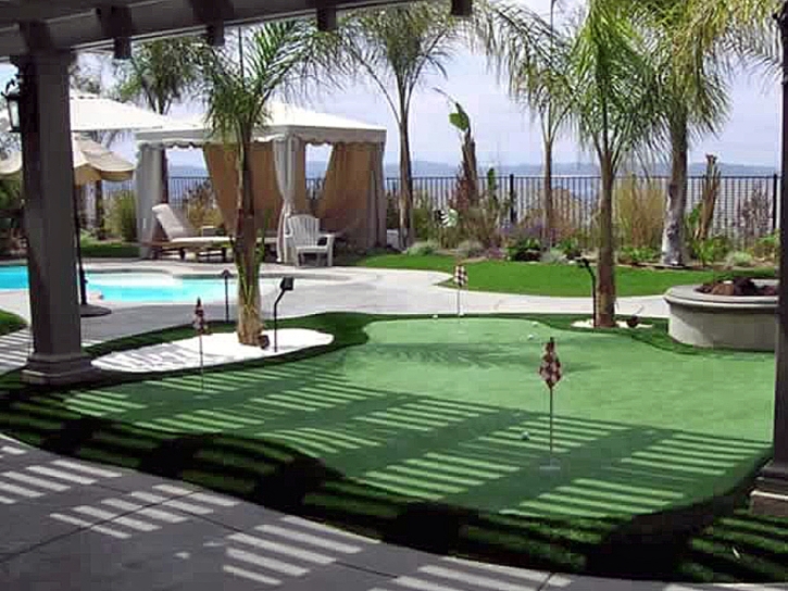 Grass Installation Morriston, Florida Office Putting Green, Backyard Landscape Ideas