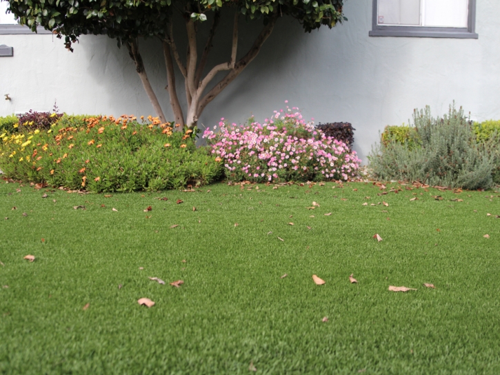 Grass Turf Cedar Key, Florida Design Ideas, Front Yard Landscape Ideas