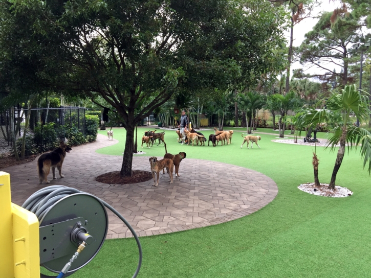 Grass Turf Pine Lakes, Florida Artificial Grass For Dogs, Commercial Landscape