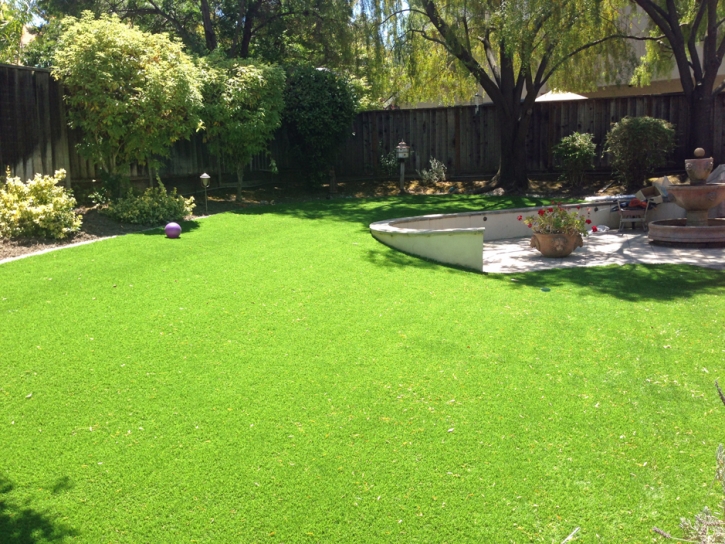 Green Lawn Chiefland, Florida Lawns, Small Backyard Ideas