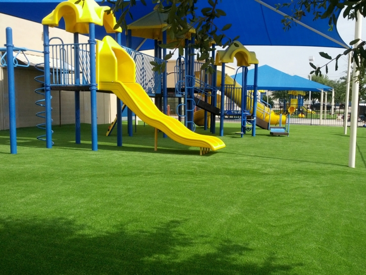 Green Lawn Fairview Shores, Florida Backyard Playground, Commercial Landscape
