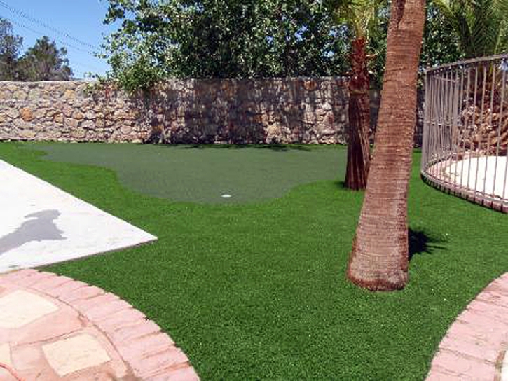 How To Install Artificial Grass East Palatka, Florida Landscape Ideas, Backyards