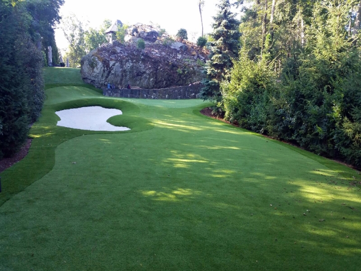 Lawn Services DeBary, Florida Indoor Putting Greens, Commercial Landscape