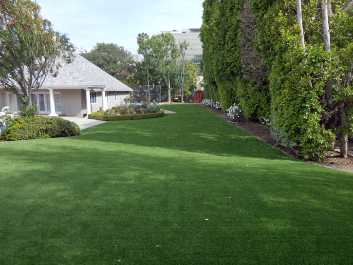 Outdoor Carpet Butler Beach, Florida Watch Dogs, Landscaping Ideas For Front Yard